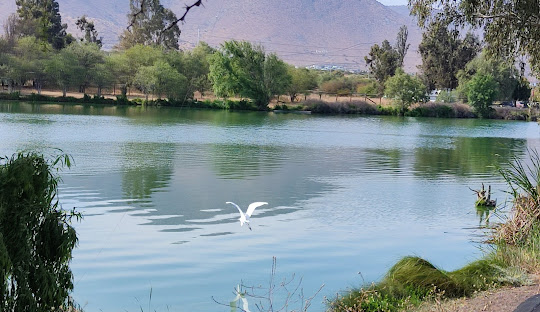 Laguna Caren